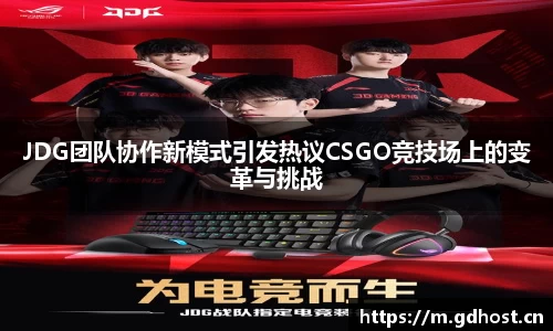 JDG团队协作新模式引发热议CSGO竞技场上的变革与挑战