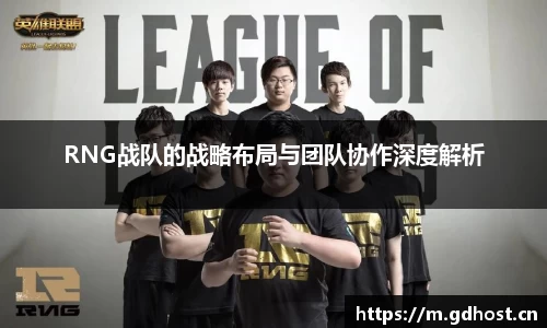RNG战队的战略布局与团队协作深度解析