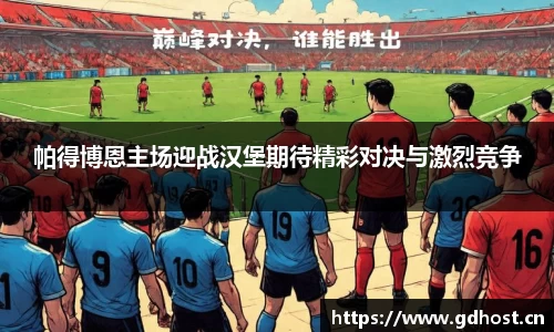 帕得博恩主场迎战汉堡期待精彩对决与激烈竞争