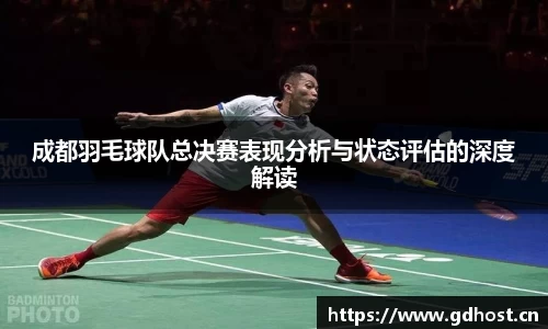 成都羽毛球队总决赛表现分析与状态评估的深度解读