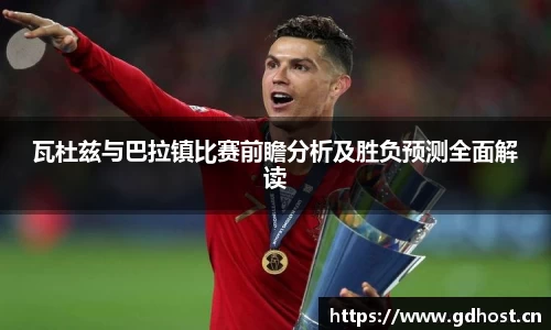 vsport体育官网入口